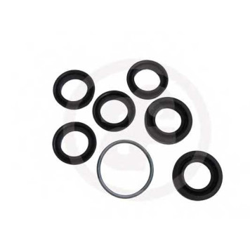 Ремкомплект главного тормозного цилиндра AUTOFREN SEINSA D1702