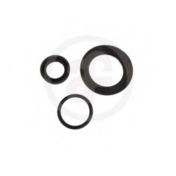 Ремкомплект главного цилиндра AUTOFREN SEINSA D1725