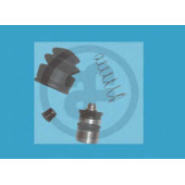 Ремкомплект рабочего цилиндра AUTOFREN SEINSA D3548C