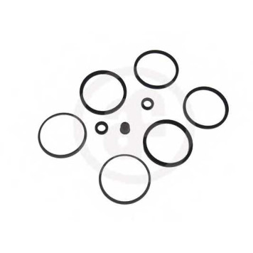 Ремкомплект тормозного суппорта AUTOFREN SEINSA D4077