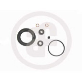 Ремкомплект тормозного суппорта AUTOFREN SEINSA D41231