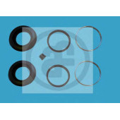 Ремкомплект тормозного суппорта AUTOFREN SEINSA D4202