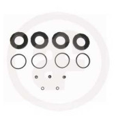 Ремкомплект тормозного суппорта AUTOFREN SEINSA D4216