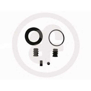 Ремкомплект тормозного суппорта AUTOFREN SEINSA D4319