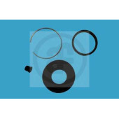 Ремкомплект тормозного суппорта AUTOFREN SEINSA D4347