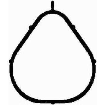 Прокладка впускного коллектора BGA MG2563