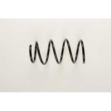 Пружина ходовой части BILSTEIN FE1-G190 / 37-161903