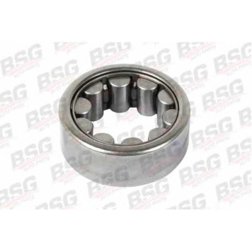 Комплект подшипника ступицы колеса BSG BSG 30-605-017