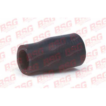 Шланг BSG BSG 30-720-018