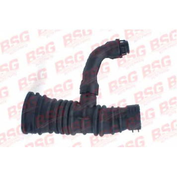Шланг, система подачи воздуха BSG BSG 30-720-063