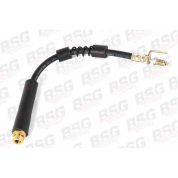 Тормозной шланг BSG BSG 30-730-012
