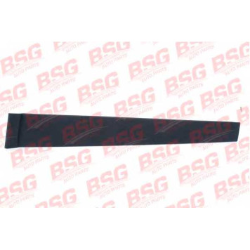 Облицовка / защитная накладка, стекло двери BSG BSG 30-925-007