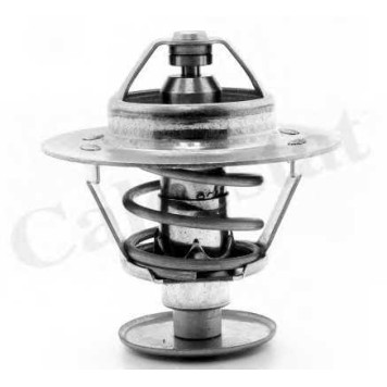 Термостат охлаждающей жидкости CALORSTAT by Vernet TH1538.88J