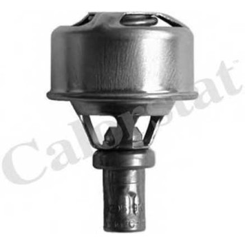 Термостат охлаждающей жидкости CALORSTAT by Vernet TH4495.86