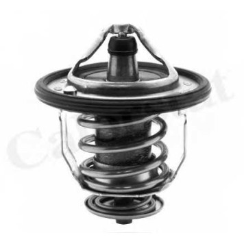 Термостат охлаждающей жидкости CALORSTAT by Vernet TH5434.88J