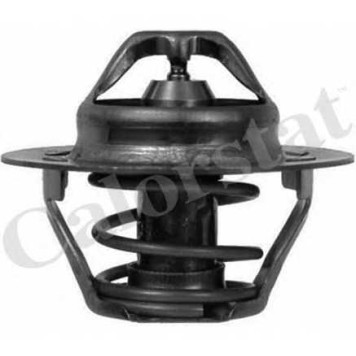 Термостат охлаждающей жидкости CALORSTAT by Vernet TH6045.83J