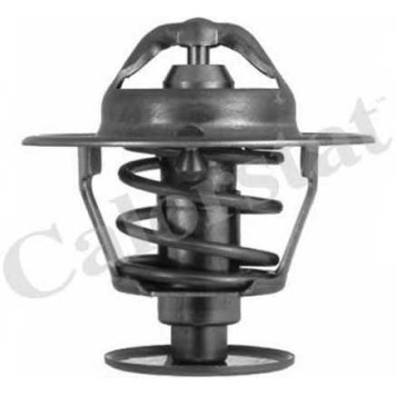 Термостат охлаждающей жидкости CALORSTAT by Vernet TH6063.82J