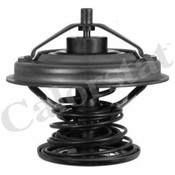 Термостат охлаждающей жидкости CALORSTAT by Vernet TH6242.92J