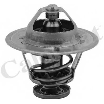 Термостат охлаждающей жидкости CALORSTAT by Vernet TH6252.82J