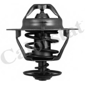 Термостат охлаждающей жидкости CALORSTAT by Vernet TH6319.88J