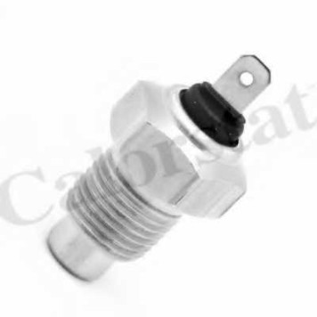 Датчик температуры охлаждающей жидкости CALORSTAT by Vernet WS2509