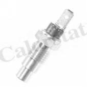 Датчик температуры охлаждающей жидкости CALORSTAT by Vernet WS2538