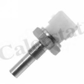 Датчик температуры охлаждающей жидкости CALORSTAT by Vernet WS2580