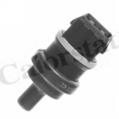 Датчик температуры охлаждающей жидкости CALORSTAT by Vernet WS2595