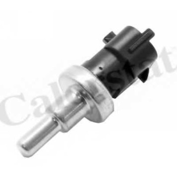 Датчик температуры охлаждающей жидкости CALORSTAT by Vernet WS3046