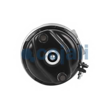 Тормозной цилиндр с пружинным энергоаккумулятором COJALI 2351304-4