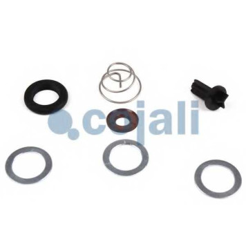 Ремонтный комплект, осущитель во COJALI 6012015-1