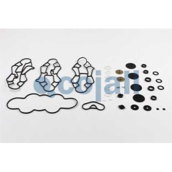 Ремкомплект COJALI 6014116-1