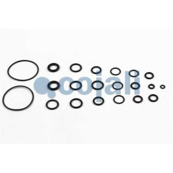 Ремкомплект COJALI 6014116-2