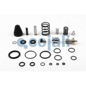 Ремонтный комплект, осущитель во COJALI 6014146