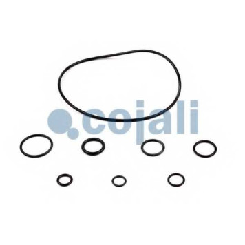 Ремкомплект, усилитель привода сцепления COJALI 6034026-2