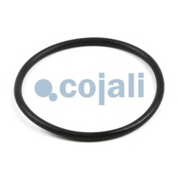 Ремкомплект тормозного суппорта COJALI 6084017-2