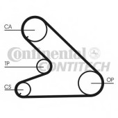 Ремень ГРМ CONTITECH 443 LAH 125 ZZP / CT700