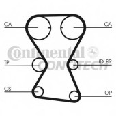 CONTITECH CT1000 - ремень ГРМ