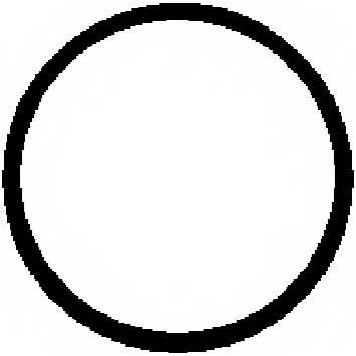 Прокладка впускного коллектора CORTECO 450160H