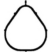 Прокладка впускного коллектора CORTECO 450262P