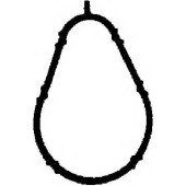 Прокладка впускного коллектора CORTECO 450553P