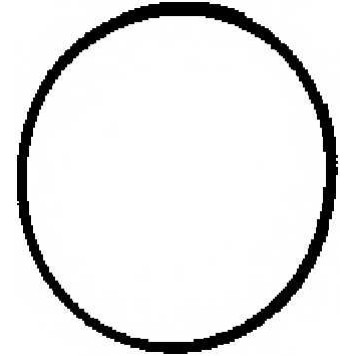 Прокладка впускного коллектора CORTECO 450562H