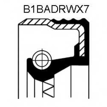 Сальник дифференциала CORTECO B1BADRWX7 Simmerring / 12014743B