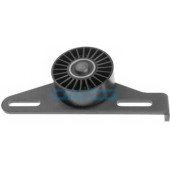 Натяжитель ремня DAYCO APV2064