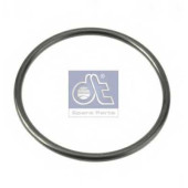 Уплотнительное кольцо DT 1.17100