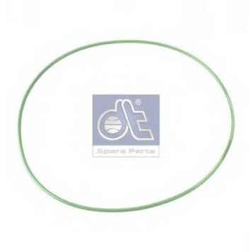 Уплотнительное кольцо DT 1.24309