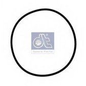 Уплотнительное кольцо DT 1.24312