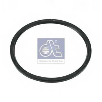 Уплотнительное кольцо, поворотного кулака DT 4.20364