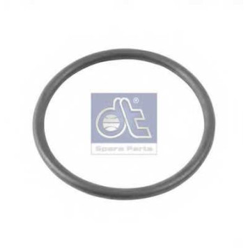 Уплотнительное кольцо DT 4.20312