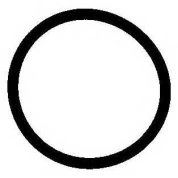 Прокладка термостата ELRING 007.920